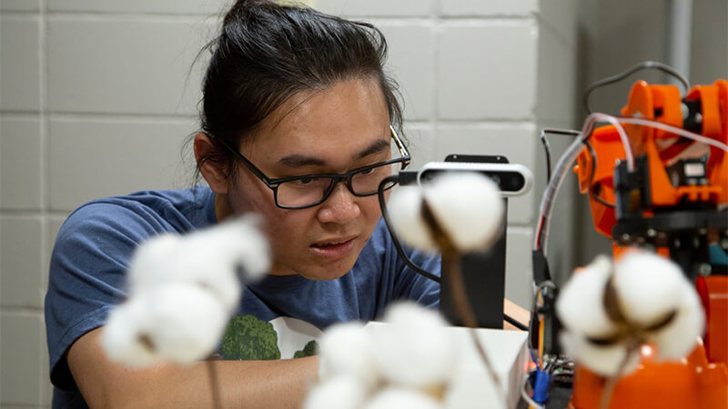 Student working with cotton in lab