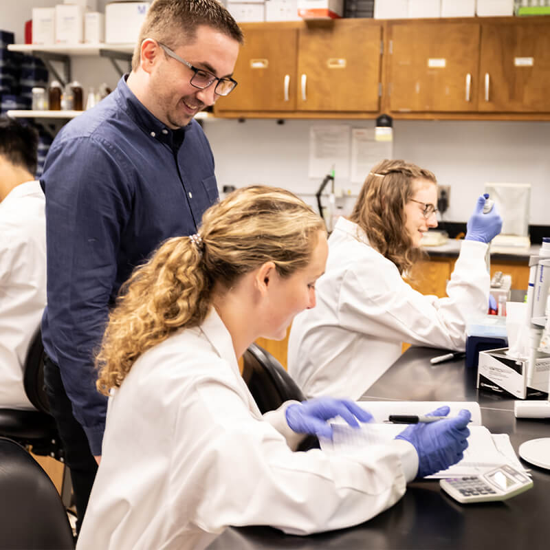 Students working in lab while professor helps