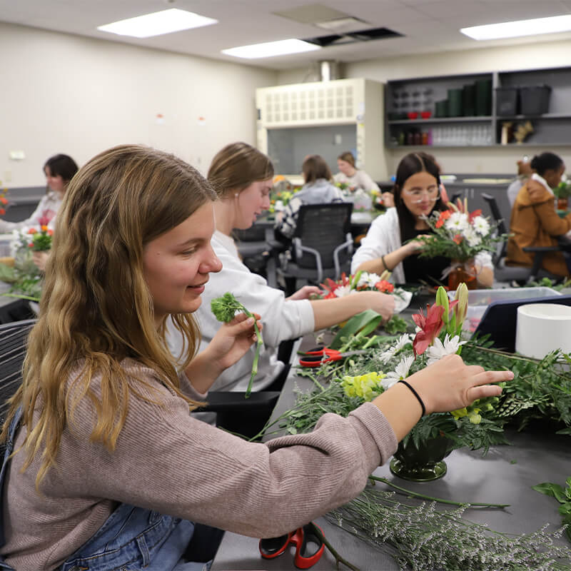 Students working on plants