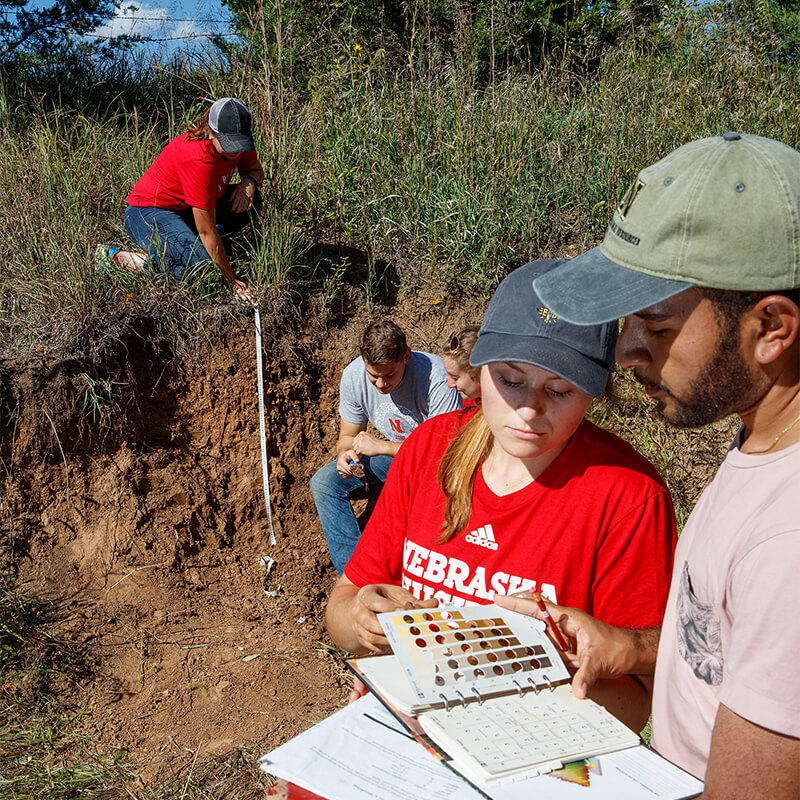 Students compare notes in the field