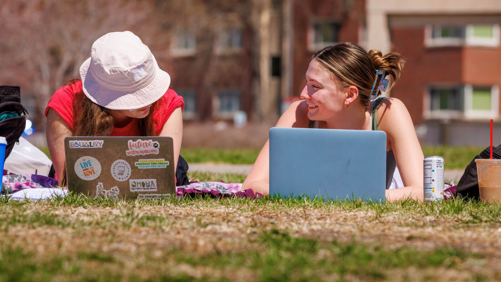 Students, with laptops open, talk outdoors on a sunny day.