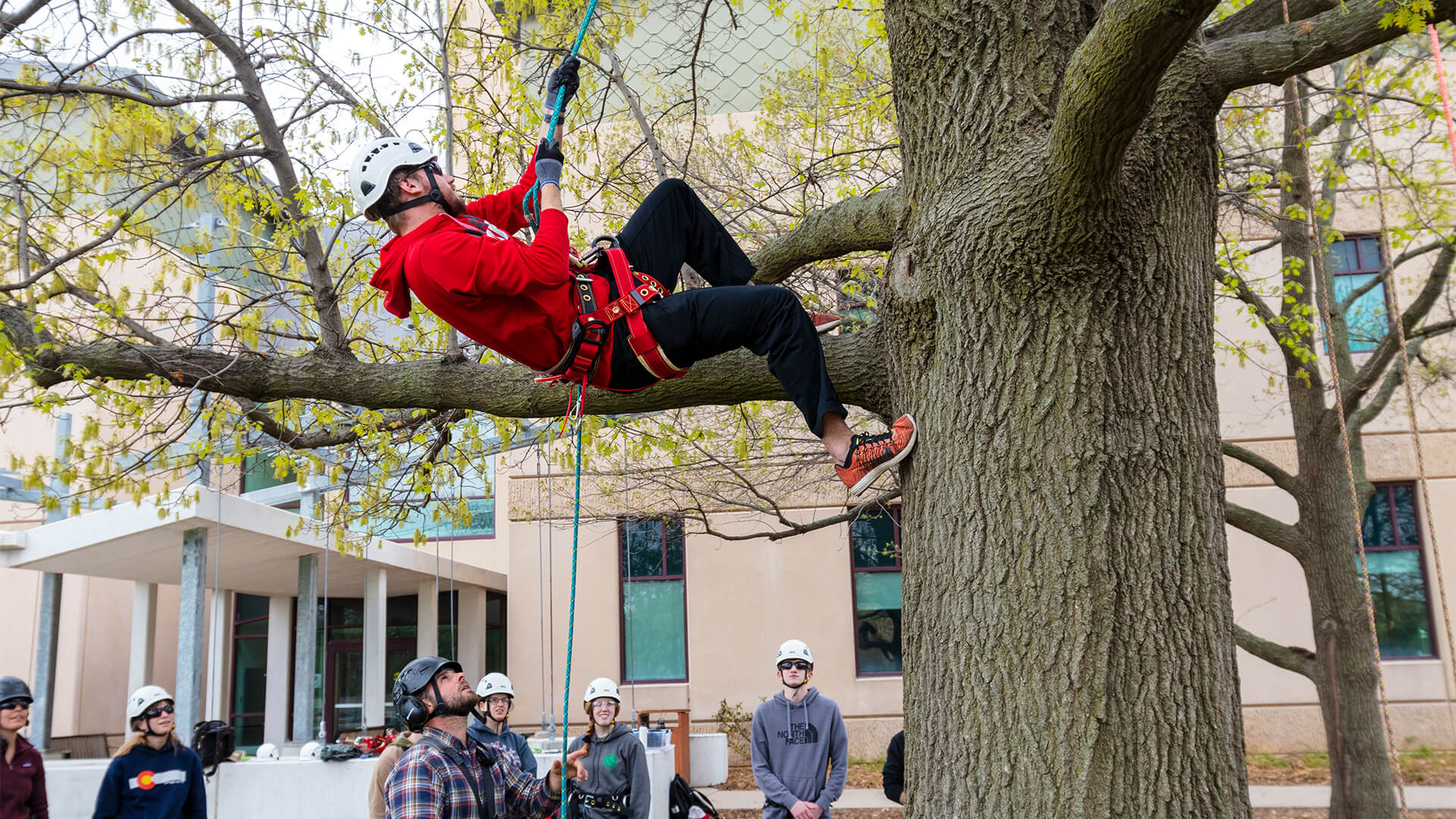Student climing tree with rope harness while others watch