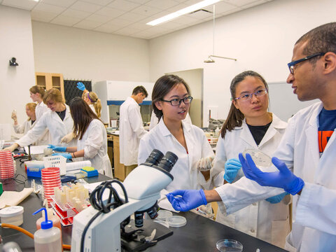 Students working in a lab