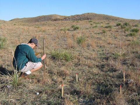 Student gathering data in field
