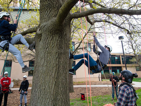 Students climbing in trees with harnesses