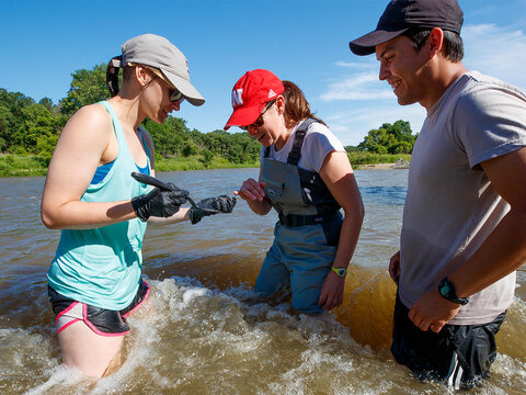 Students standing in stream taking samples